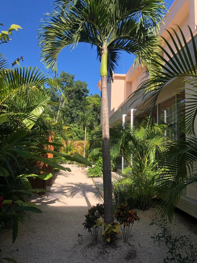 11BR I Hacienda Zalama Tulum Bagian luar foto